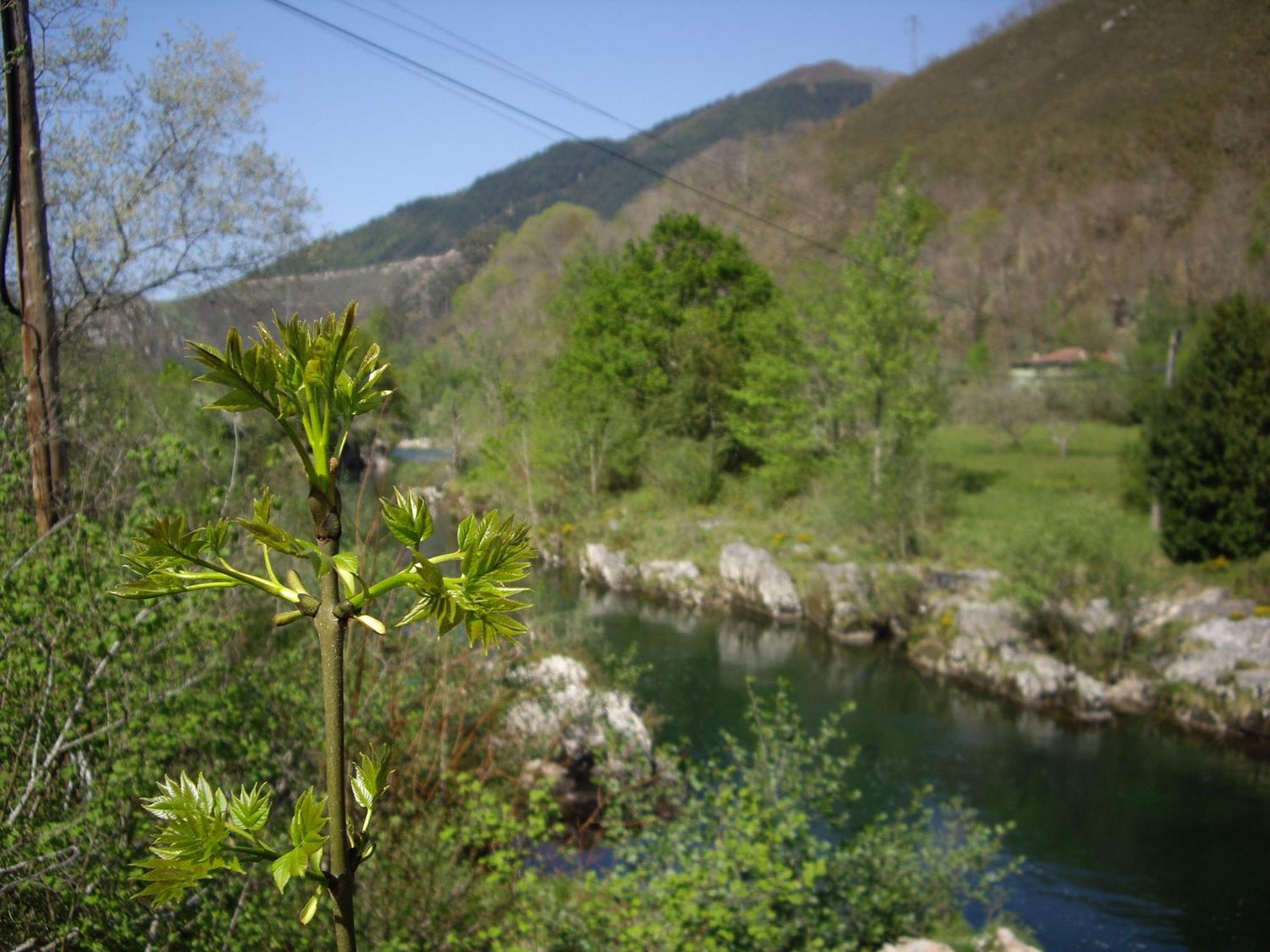 Casa Rural El Canton Onís Εξωτερικό φωτογραφία