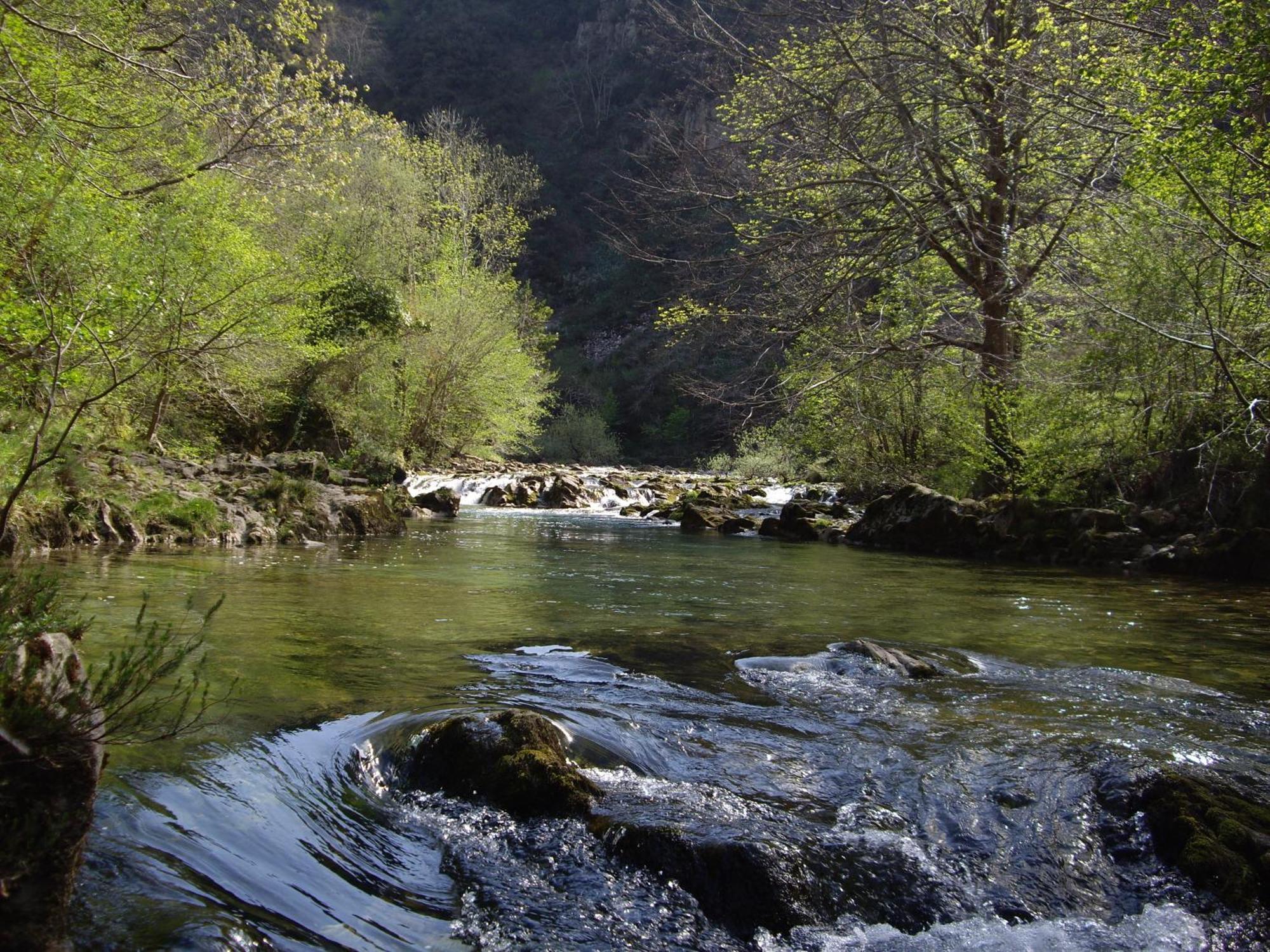 Casa Rural El Canton Onís Εξωτερικό φωτογραφία
